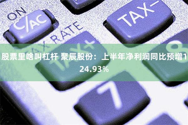 股票里啥叫杠杆 聚辰股份：上半年净利润同比预增124.93%