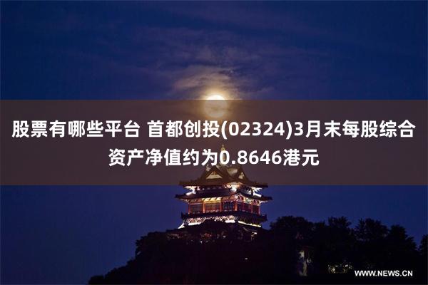 股票有哪些平台 首都创投(02324)3月末每股综合资产净值约为0.8646港元