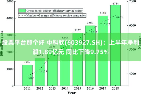 股票平台那个好 中科软(603927.SH)：上半年净利润1.89亿元 同比下降9.75%