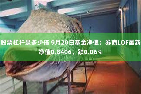 股票杠杆是多少倍 9月20日基金净值：券商LOF最新净值0.8406，跌0.06%