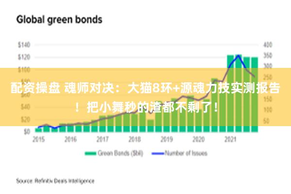 配资操盘 魂师对决：大猫8环+源魂力技实测报告！把小舞秒的渣