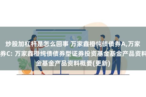 炒股加杠杆是怎么回事 万家鑫橙纯债债券A,万家鑫橙纯债债券C: 万家鑫橙纯债债券型证券投资基金基金产品资料概要(更新)