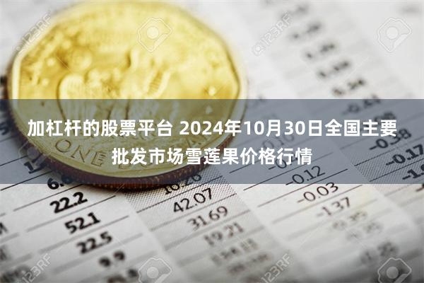 加杠杆的股票平台 2024年10月30日全国主要批发市场雪莲果价格行情