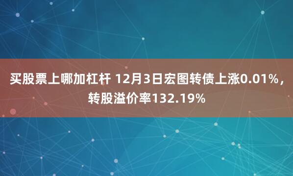 买股票上哪加杠杆 12月3日宏图转债上涨0.01%，转股溢价率132.19%