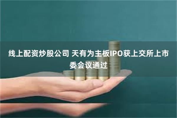 线上配资炒股公司 天有为主板IPO获上交所上市委会议通过