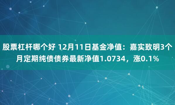 股票杠杆哪个好 12月11日基金净值：嘉实致明3个月定期纯债债券最新净值1.0734，涨0.1%