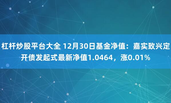 杠杆炒股平台大全 12月30日基金净值：嘉实致兴定开债发起式最新净值1.0464，涨0.01%