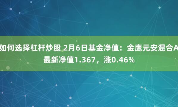 如何选择杠杆炒股 2月6日基金净值：金鹰元安混合A最新净值1.367，涨0.46%