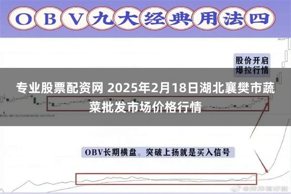 专业股票配资网 2025年2月18日湖北襄樊市蔬菜批发市场价格行情