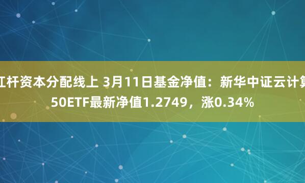 杠杆资本分配线上 3月11日基金净值：新华中证云计算50ETF最新净值1.2749，涨0.34%